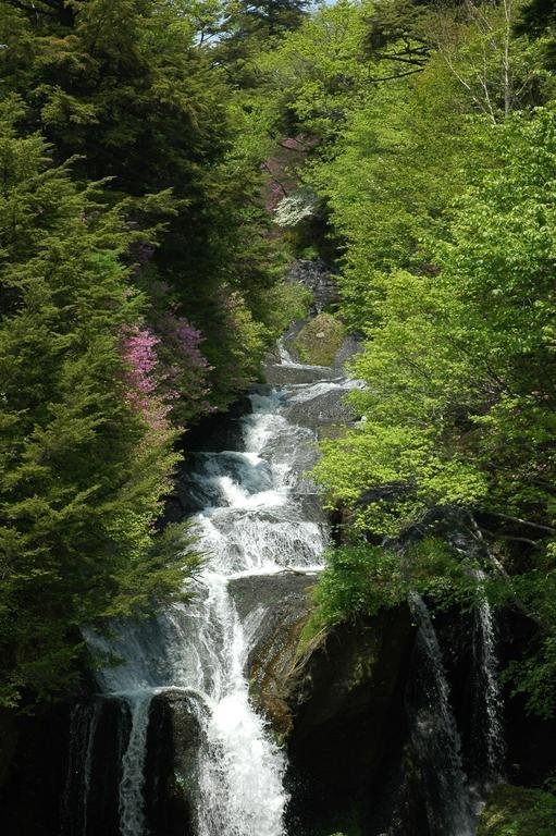 ほのかな宿　樹林 日光市 エクステリア 写真
