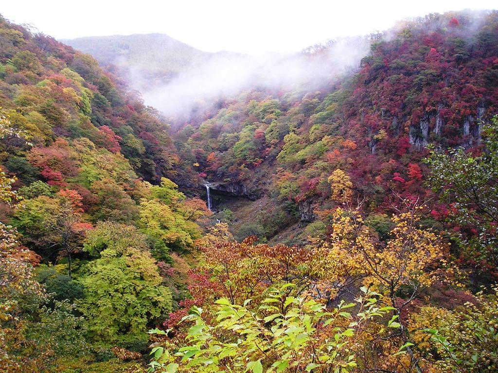 ほのかな宿　樹林 日光市 エクステリア 写真