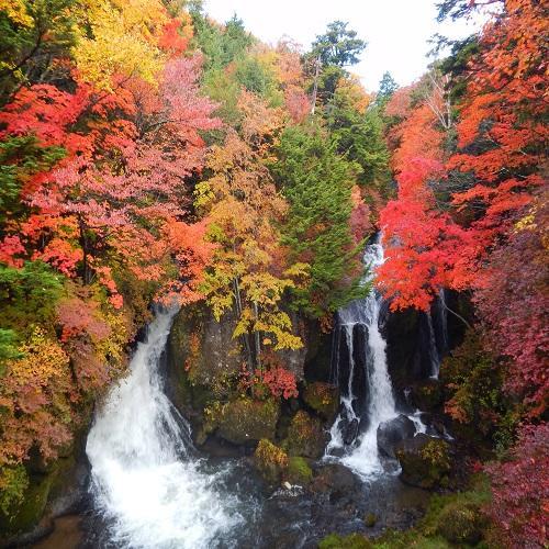 ほのかな宿　樹林 日光市 エクステリア 写真